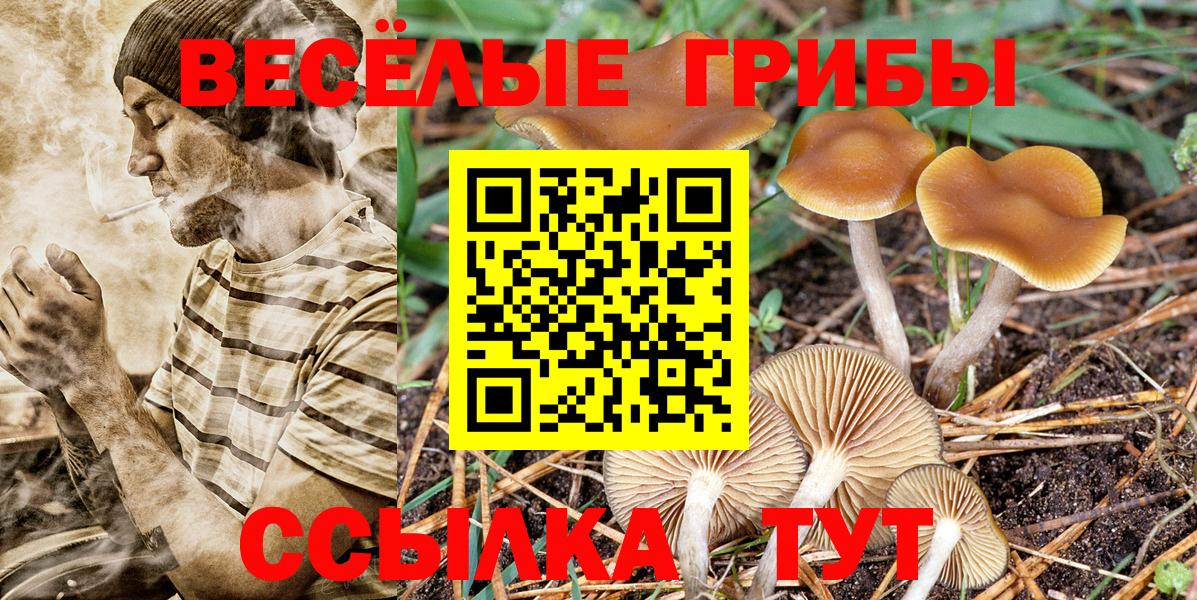 КОКАИН  ГАШ  Канабис  Асбест  Мефедрон кристаллы  Вход с VPN 